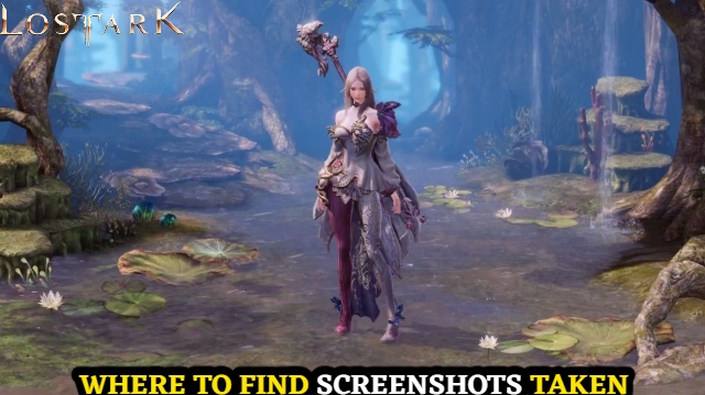 Lost Ark: Where To Find Screenshots Taken » AndroidTamizhan