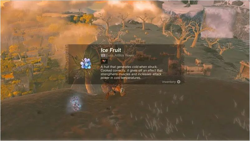 Zelda Tears of the Kingdom: How To Get Ice Fruit