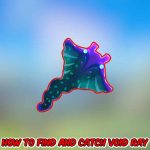 Palia: How To Find And Catch Void Ray